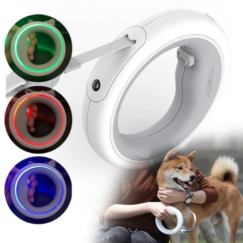 Dog Leash Ring Led Add More Fun and Safe Walks at Night