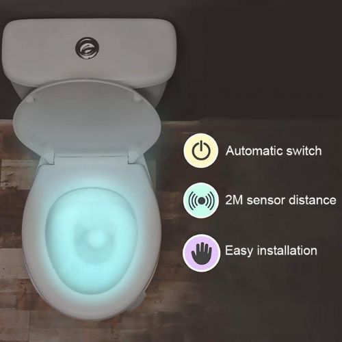 LED light for internal toilet lighting with motion activation