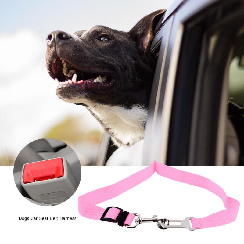 Pet Car Seat Belt