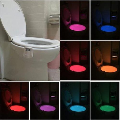 LED light for internal toilet lighting with motion activation