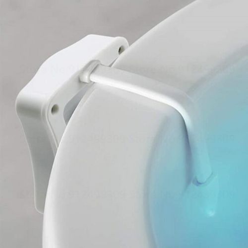 LED light for internal toilet lighting with motion activation