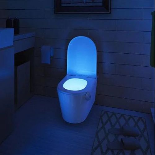 LED light for internal toilet lighting with motion activation